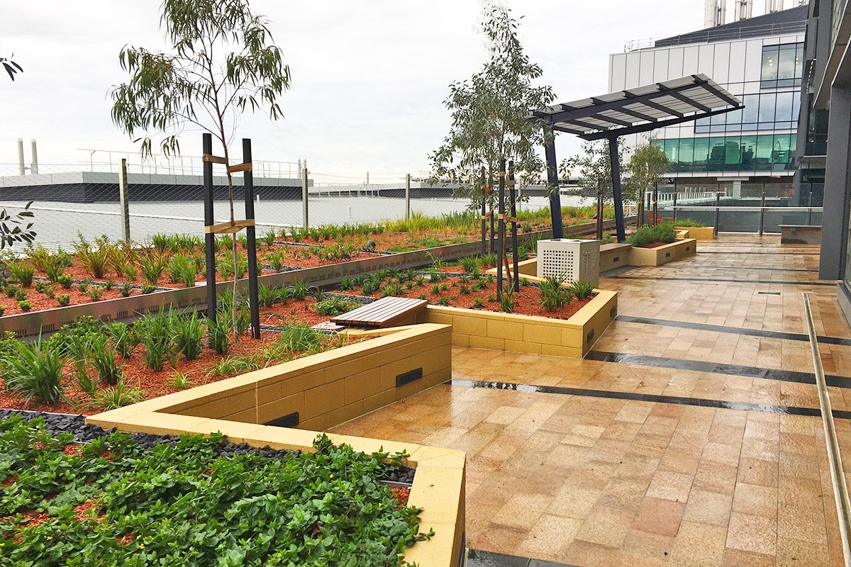 Adelaide landscaping