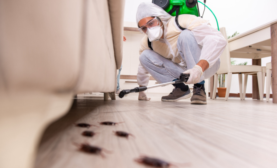 Pest inspection Pottsville