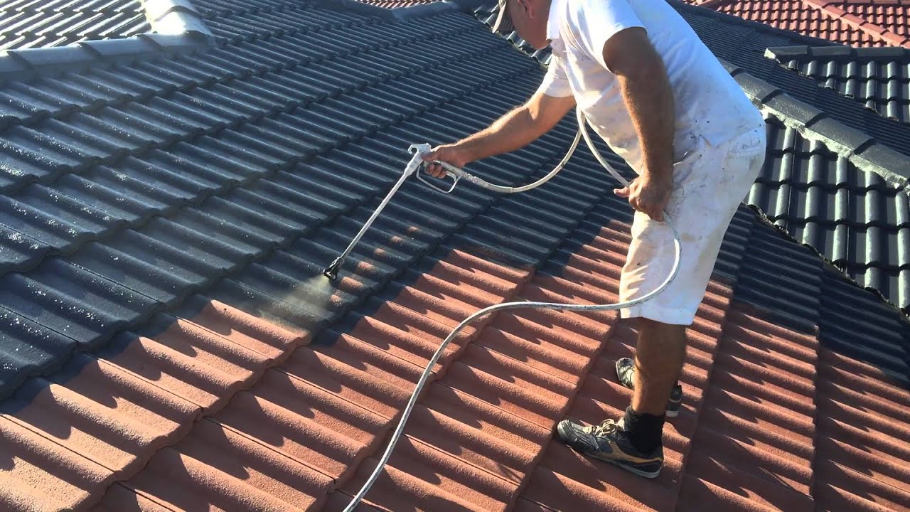 roof painters