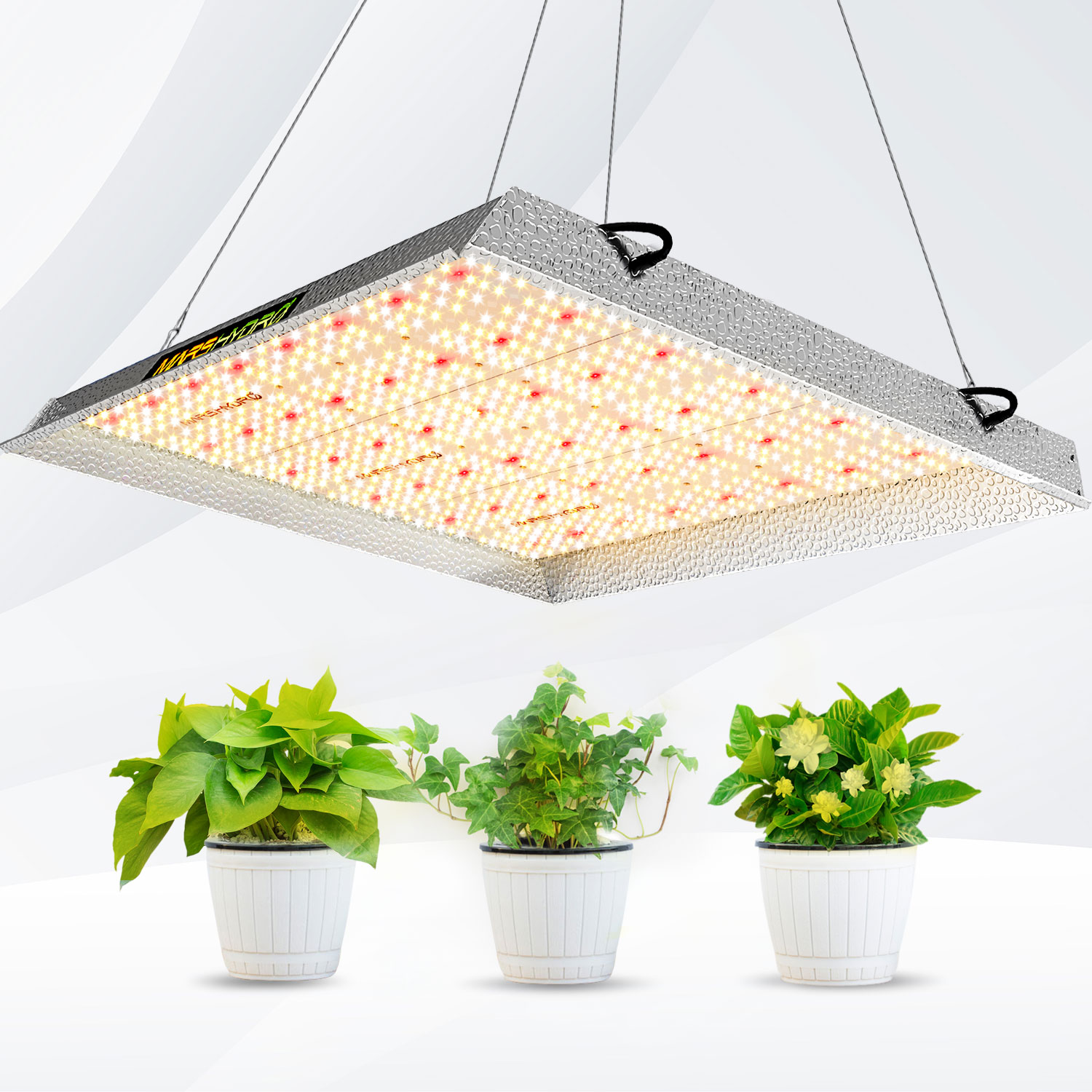 NZ grow light