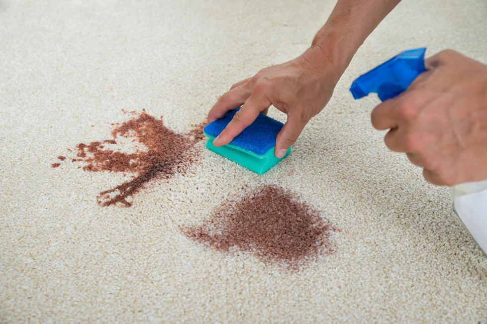 carpet stain removal Perth