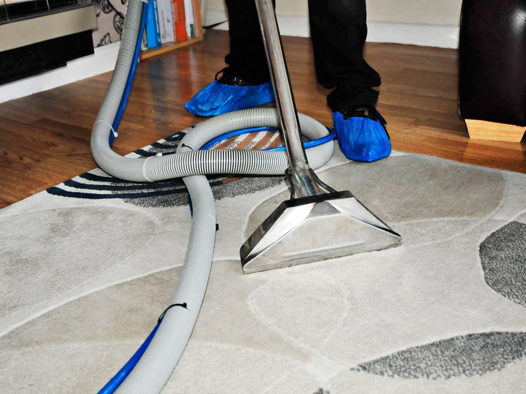 domestic carpet cleaning Perth