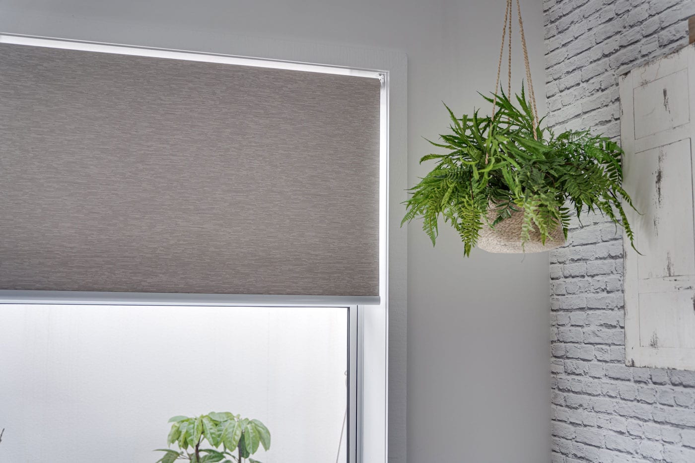 blackout roller blinds