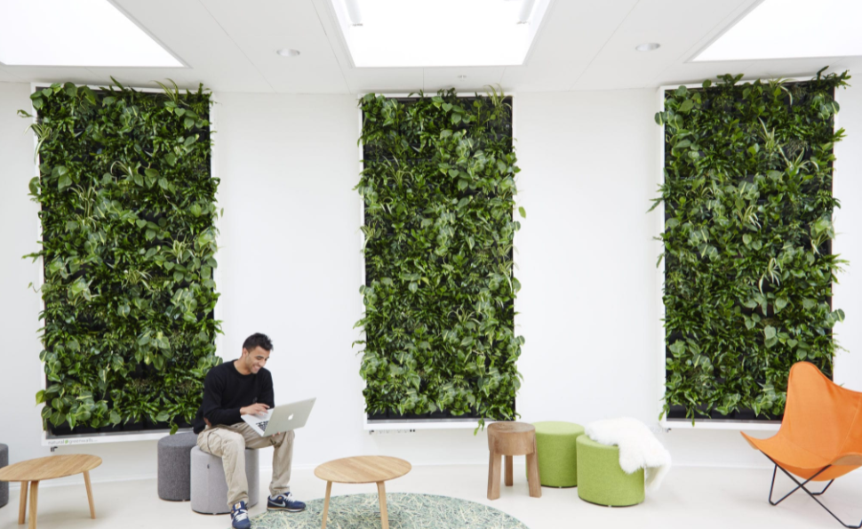 green walls