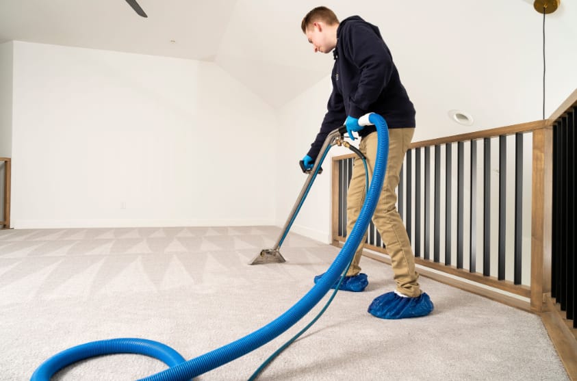 carpet extraction