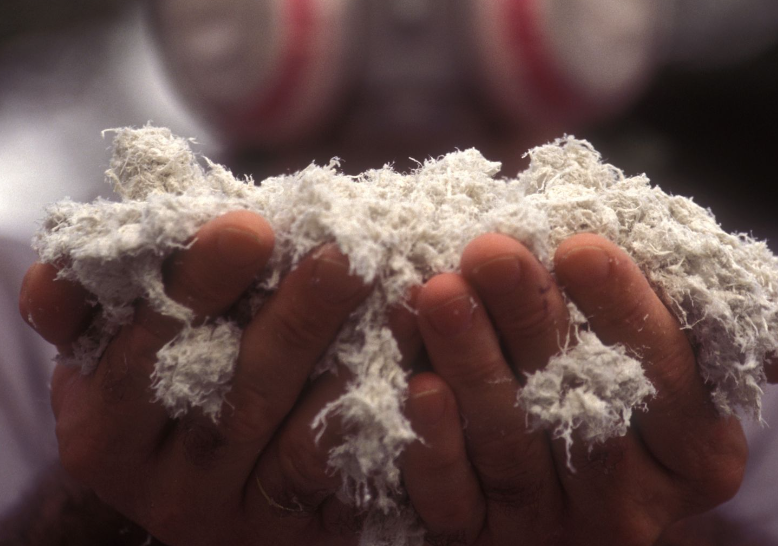 asbestos testing in Dunedin 