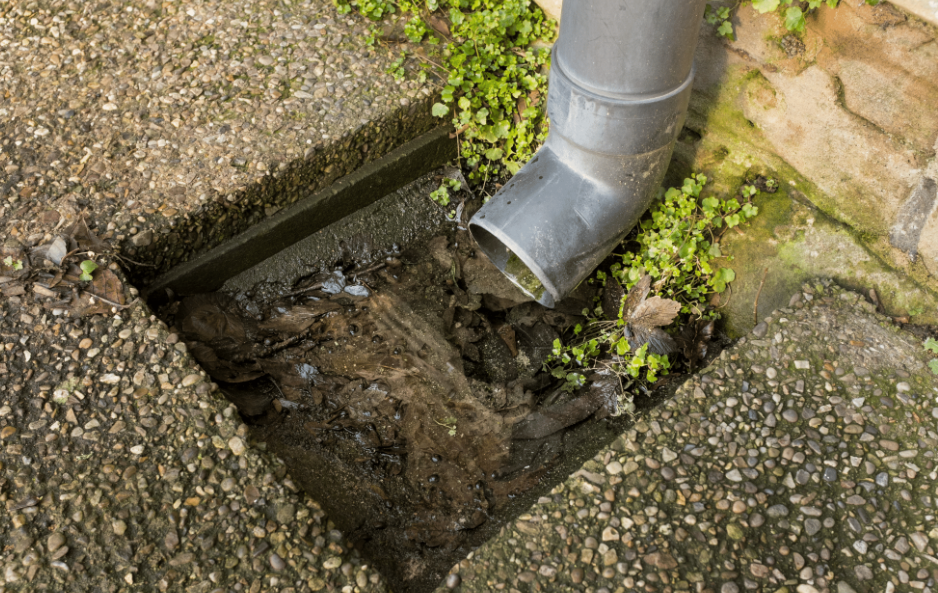 blocked drains in the Gold Coast 