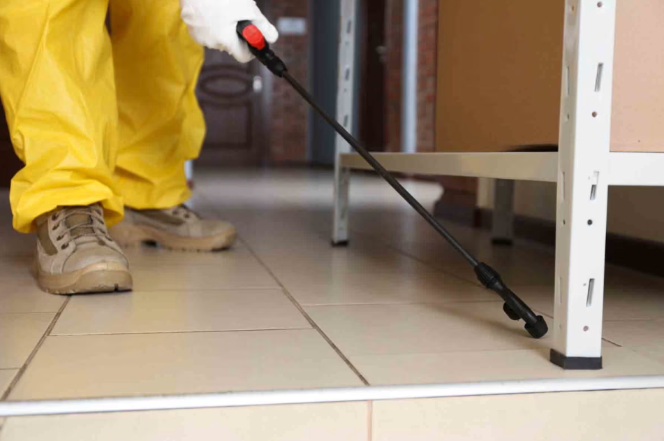 pest control Tweed Heads